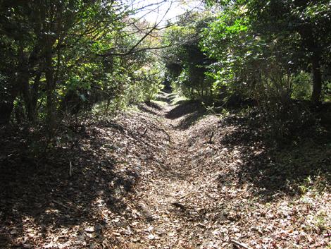 20201105hike (118)